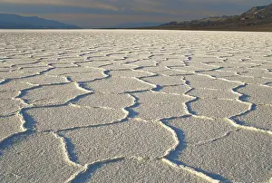 Polygonal: Salt Pan in Death Valley