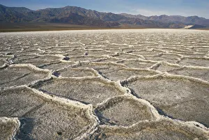 Polygonal: Salt Polygons in Death Valley