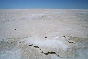 Eyre: Salt surface of Lake Eyre North. Lake Eyre National