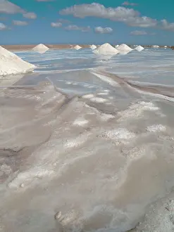 Works: Salt works at the salt marshes of Sabkhat Tazra