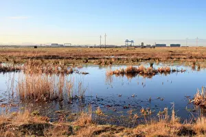 Rspb: Saltholme Reserve - RSPB Wildlife & Nature Reserve