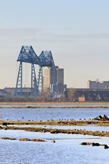 Rspb: Saltholme Reserve - RSPB Wildlife & Nature Reserve