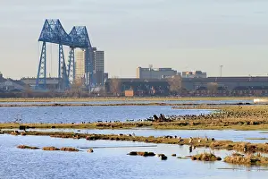 Rspb: Saltholme Reserve - RSPB Wildlife & Nature Reserve