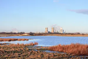 Rspb: Saltholme Reserve - RSPB Wildlife & Nature Reserve