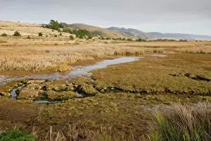 Reyes: Saltmarsh and estuary habitat at Limantour Beach