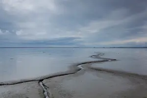 Stokksnes: Saltmarsh at low tide
