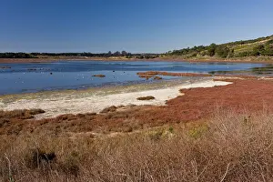 Elkhorn: Saltmarsh, mudflats and estuarine habitat at Elkhorn