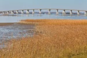 Saltmarsh: Saltmarsh and mudflats in Shinnecock County Park
