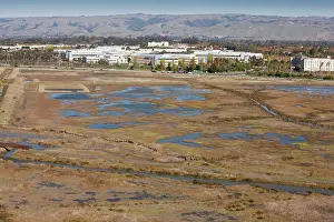Saltmarsh: Saltmarsh, pools and lagoons
