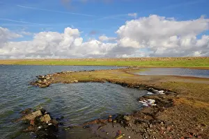Zeeland: Saltmarsh of Zuidkust Schouwen nature reserve