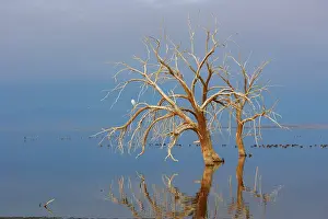 Salton: Salton Sea