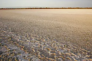 Salton: Salton Sea, Southern California