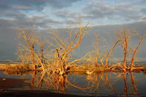 Salton: Salton Sea, Southern California