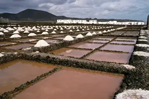 Saltpans: Saltpans