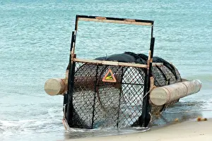 Porosus: Saltwater Crocodile trap