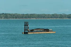 Porosus: Saltwater Crocodile trap