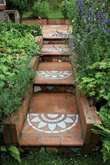 Steps: Salvia
