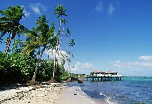 Replica: Samoa, Apia. Coconuts Beach Club Resort