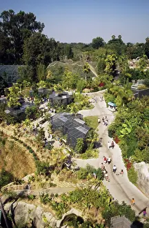 Diego: San Diego Zoo