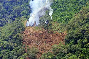 San Isidro Tropical Rainforest - deforestation
