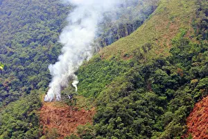 Isidro: San Isidro Tropical Rainforest - deforestation