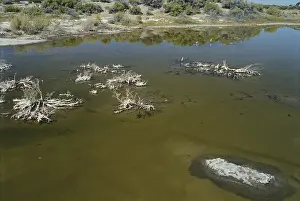 Luis: San Luis Lake, Colorado