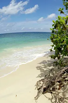 Tioman: Sand beach of volcanic Tioman Island and sea at high tide
