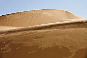 Windswept: Sand blowing along the slipface of a dune