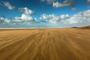 Windswept: Sand blown on beach