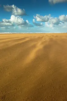 Windswept: Sand blown on beach