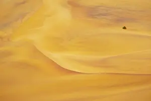 Michele Menegon: Sand Dune