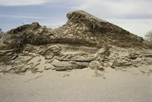 Layered: Sand Dune Structure