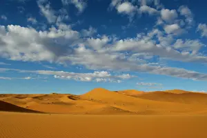 Chris Brunskill: Sand Dunes