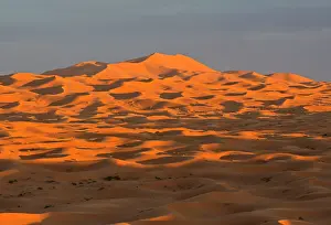 Chris Brunskill: Sand Dunes
