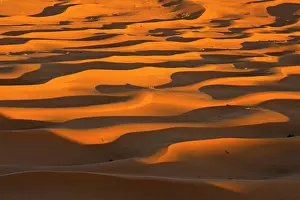 Chris Brunskill: Sand Dunes