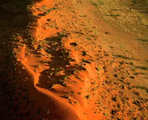 Corridor: Sand dunes and corridor near Old Andado Station
