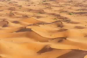 Merzouga: Sand dunes in the desert, dune landscape Erg Chebbi