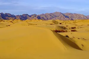 Endless: Sand dunes of Elsen Tasarkhai, Bulgan Aimag, Bulgan