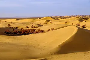 Endless: Sand dunes of Elsen Tasarkhai, Bulgan Aimag, Bulgan