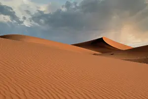 Sahara: Sand dunes glow orange at sunset in the Sahara Desert