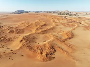 Dune: Sand dunes grown with camelthorn trees (Vachellia erioloba)