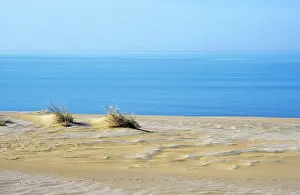 Karakum: Sand Dunes of Karakum desert - meet sea at Caspian