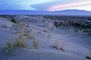 Karakum: Sand dunes of Karakum desert - sunset