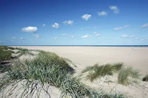 Marram: Sand Dunes and Marram Grass - on empty beach