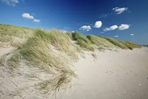 Marram: Sand Dunes and Marram Grass - on empty beach