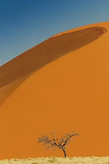 Pryor: Sand dunes of Namib Naukluft National Park