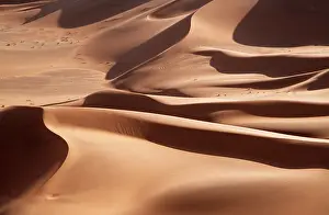 Arty: Sand Dunes in Namib-Naukluft Park