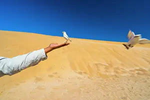 Swakopmund: Sand Dunes, Swakopmund, Namibia, Africa