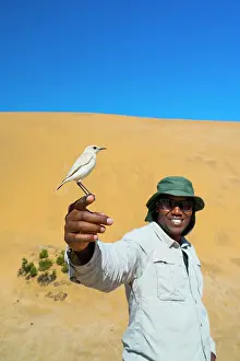 Swakopmund: Sand Dunes, Swakopmund, Namibia, Africa