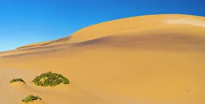 Swakopmund: Sand dunes in Swakopmund, Namibia, Africa